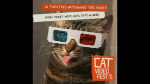 A tabby cat in red-and-blue 3D glasses sticks out its tongue. “In theaters nationwide this August. Every ticket helps Essex County cats in need.” Bottom right reads “Cat Video Fest 2026.” Perfect for CCE Nightlife and Sevenings fans!.