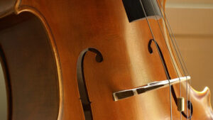 Close-up of a cello body showing wood grain, f-hole, bridge, and strings. The lighting highlights its polished curves—perfect for setting the mood at Essex County’s Sevenings or a CCE Nightlife musical event.