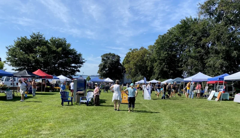 People walk through an outdoor market on a grassy lawn, surrounded by white tents and vendor booths. Trees line the background under a blue sky with scattered clouds.