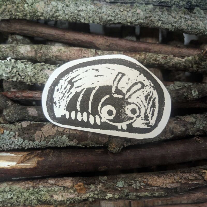 A black and white drawing of a cartoon bug with stripe patterns, large eyes, and antennae is attached to a stack of brown, lichen-covered sticks.