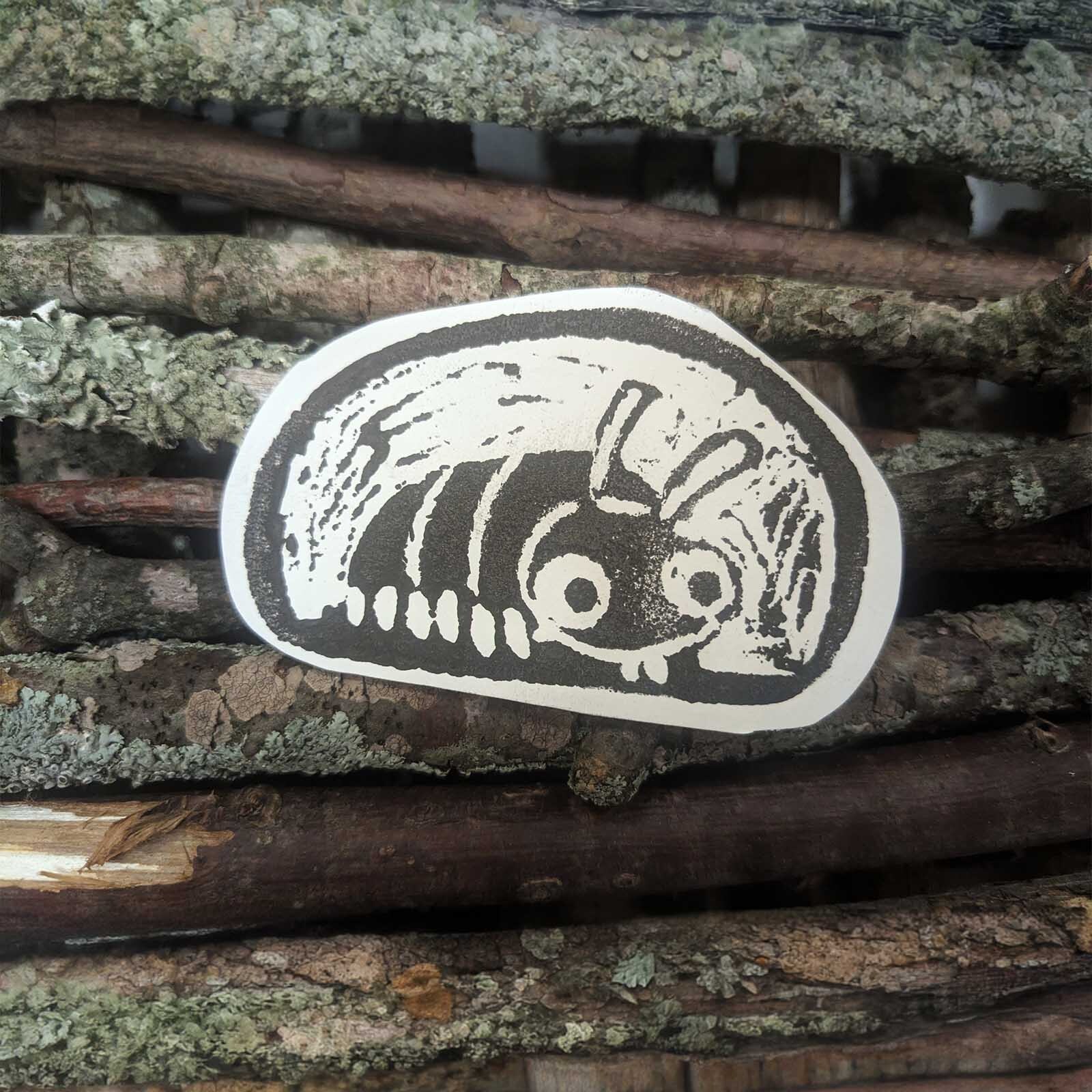 A black and white drawing of a bug with stripes, round eyes, and antennae, sits on a stack of lichen-covered sticks. The drawing appears to be on a cut-out piece of paper.
