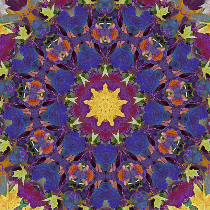 A colorful kaleidoscope pattern made from autumn leaves. A yellow sun-like shape is in the center, surrounded by symmetrical rings of purple, red, orange, and green leaves arranged in intricate, repeating designs.