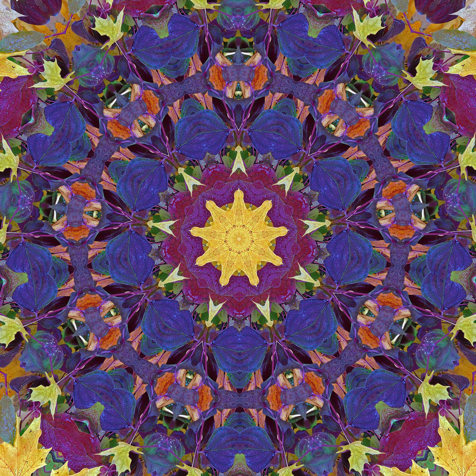 A colorful kaleidoscope pattern made from autumn leaves. A yellow sun-like shape is in the center, surrounded by symmetrical rings of purple, red, orange, and green leaves arranged in intricate, repeating designs.