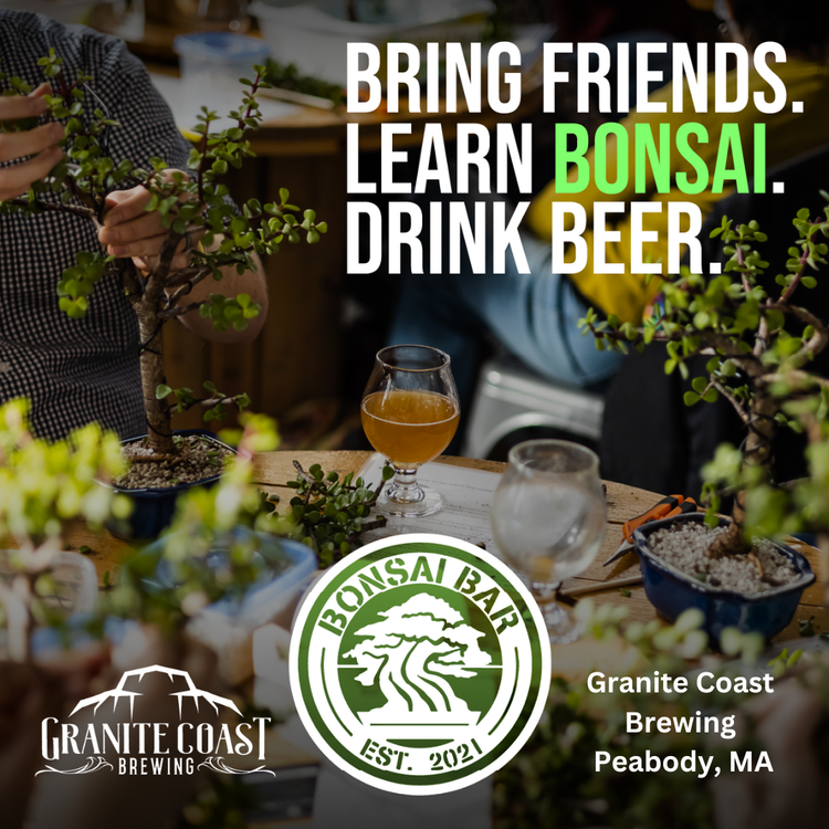 People work on bonsai trees at a table with drinks, including beer, at Granite Coast Brewing in Peabody, MA. Text promotes bringing friends, learning bonsai, and drinking beer. Bonsai Bar and brewery logos are visible in the foreground.