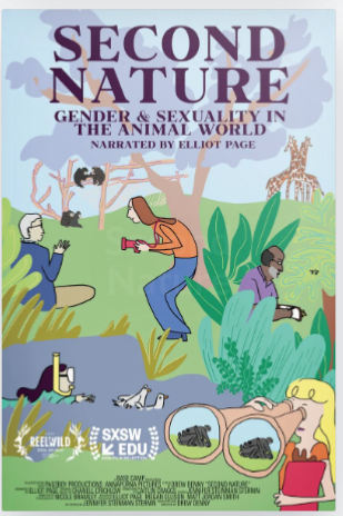Illustrated poster for SECOND NATURE: Gender & Sexuality in the Animal World. At Critter Fest’s Opening Night Film, people observe giraffe, elephant, birds, and insects amid lush greenery; title, credits, and festival logos appear above and below.