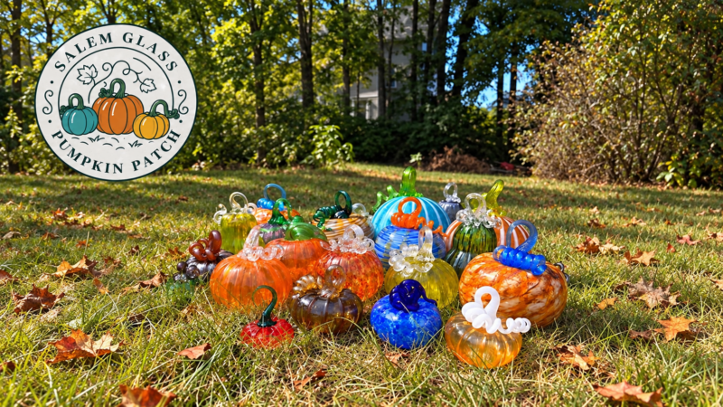 Colorful handblown glass pumpkins on sunlit grass, with the Salem Glass Pumpkin Patch logo at upper left.