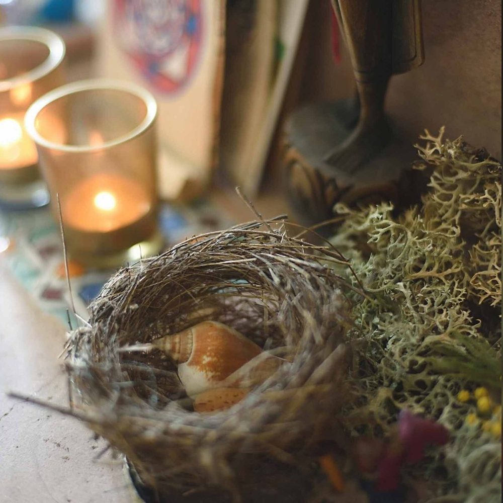 A seashell sits inside a small bird’s nest, accompanied by lichen and lit candles in the background.