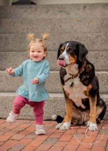 a little girl standing next to a big dog.