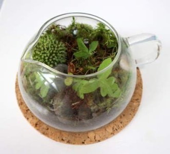 a glass pitcher filled with plants on top of a cork coaster.
