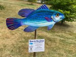 Painted 2-D Fish for Bass in the Grass
