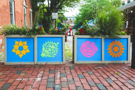 a brick sidewalk with flower boxes painted on it.