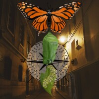 a butterfly that is sitting on top of a clock.