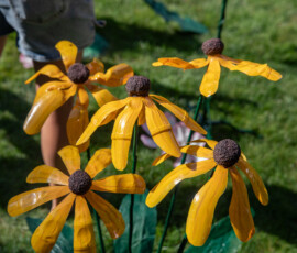 Glossy yellow black-eyed Susan sculptures with dark brown centers planted in the grass at the Beverly Garden Party